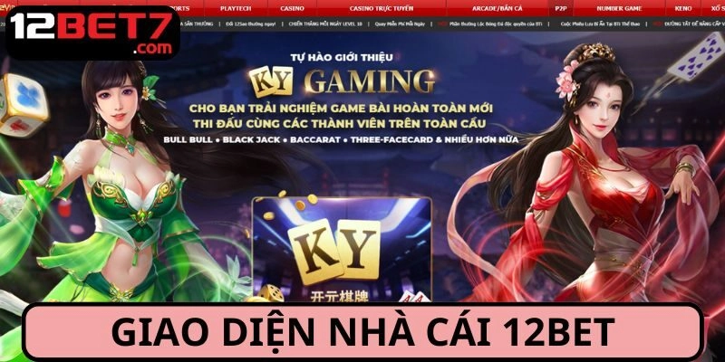 Đánh giá hệ thống giao diện website chất lượng cao