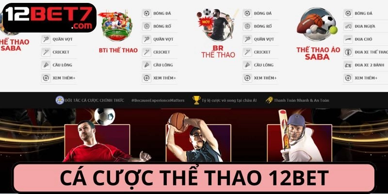 Sân chơi thể thao 12BET dành cho bạn